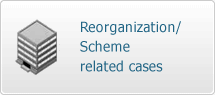 Reorganization/Scheme related cases